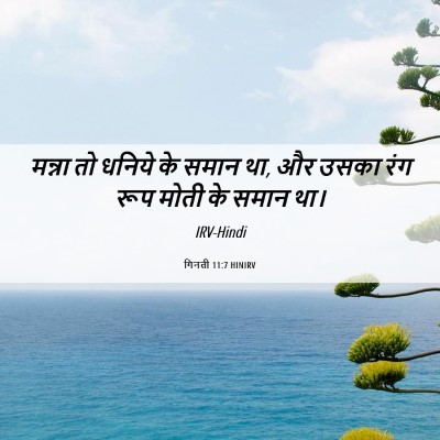 Picture 06 - गिनती 11:7 HINIRV - मन्ना तो धनिये के - Bible Verse Picture