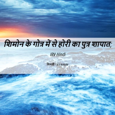 Picture 06 - गिनती 13:5 HINIRV - शिमोन के गोत्र में - Bible Verse Picture