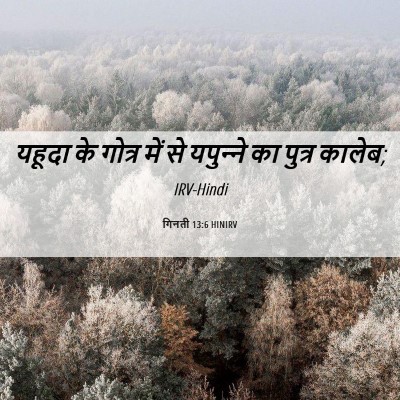 Picture 06 - गिनती 13:6 HINIRV - यहूदा के गोत्र में - Bible Verse Picture