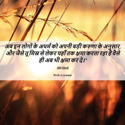 Picture 06 - गिनती 14:19 HINIRV - अब इन लोगों के - Bible Verse Picture