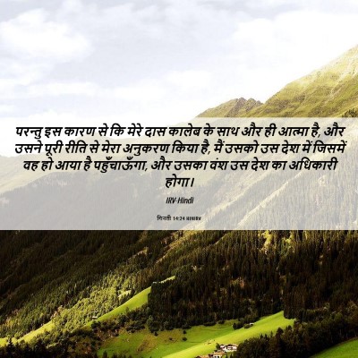 Picture 06 - गिनती 14:24 HINIRV - परन्तु इस कारण से - Bible Verse Picture