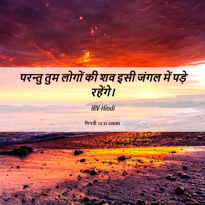 Picture 06 - गिनती 14:32 HINIRV - परन्तु तुम लोगों - Bible Verse Picture