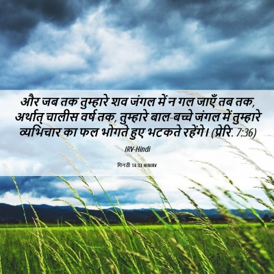 Picture 06 - गिनती 14:33 HINIRV - और जब तक तुम्हारे - Bible Verse Picture