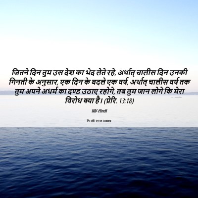 Picture 06 - गिनती 14:34 HINIRV - जितने दिन तुम उस - Bible Verse Picture