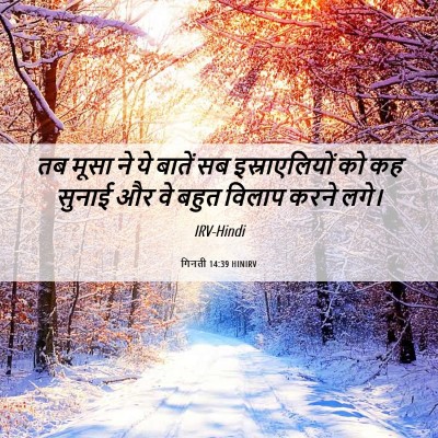 Picture 06 - गिनती 14:39 HINIRV - तब मूसा ने ये बातें - Bible Verse Picture