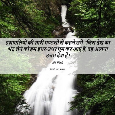 Picture 06 - गिनती 14:7 HINIRV - इस्राएलियों की - Bible Verse Picture