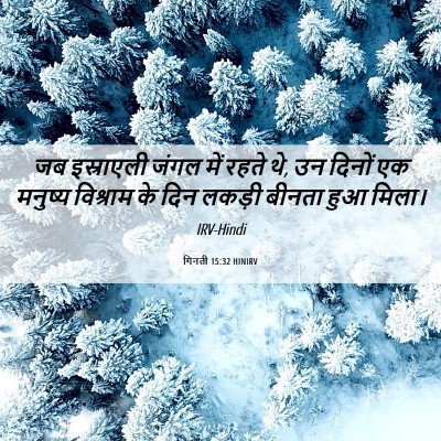 Picture 06 - गिनती 15:32 HINIRV - जब इस्राएली जंगल - Bible Verse Picture