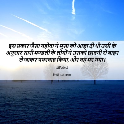 Picture 06 - गिनती 15:36 HINIRV - इस प्रकार जैसा - Bible Verse Picture