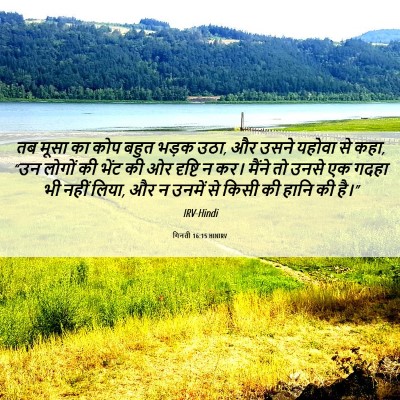 Picture 06 - गिनती 16:15 HINIRV - तब मूसा का कोप बहुत - Bible Verse Picture