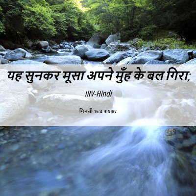 Picture 06 - गिनती 16:4 HINIRV - यह सुनकर मूसा अपने - Bible Verse Picture