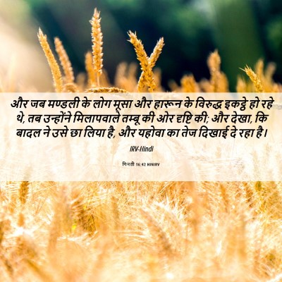 Picture 06 - गिनती 16:42 HINIRV - और जब मण्डली के लोग - Bible Verse Picture