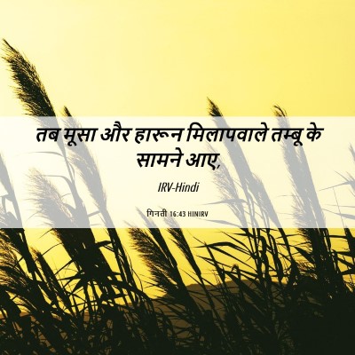 Picture 06 - गिनती 16:43 HINIRV - तब मूसा और हारून - Bible Verse Picture