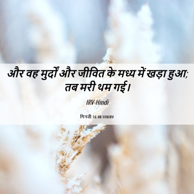 Picture 06 - गिनती 16:48 HINIRV - और वह मुर्दों और - Bible Verse Picture