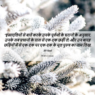 Picture 06 - गिनती 17:2 HINIRV - “इस्राएलियों से - Bible Verse Picture
