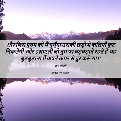 Picture 06 - गिनती 17:5 HINIRV - और जिस पुरुष को मैं - Bible Verse Picture