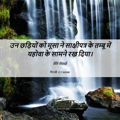 Picture 06 - गिनती 17:7 HINIRV - उन छड़ियों को मूसा - Bible Verse Picture