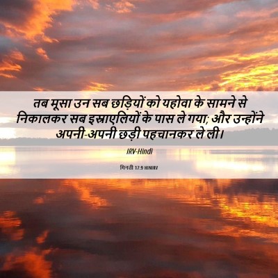 Picture 06 - गिनती 17:9 HINIRV - तब मूसा उन सब - Bible Verse Picture