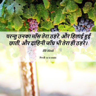 Picture 06 - गिनती 18:18 HINIRV - परन्तु उनका माँस - Bible Verse Picture