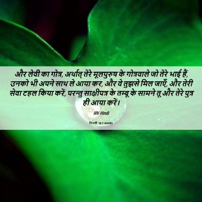 Picture 06 - गिनती 18:2 HINIRV - और लेवी का गोत्र, - Bible Verse Picture