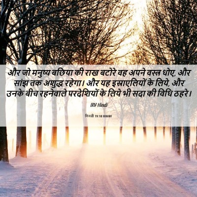 Picture 06 - गिनती 19:10 HINIRV - और जो मनुष्य बछिया - Bible Verse Picture
