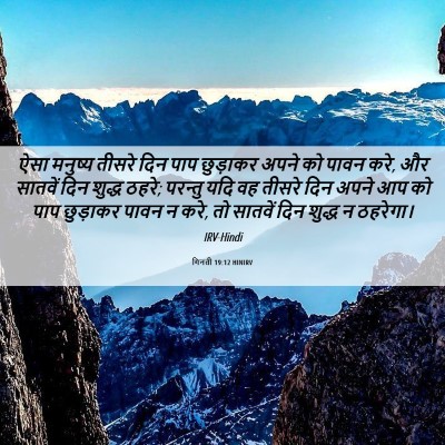 Picture 06 - गिनती 19:12 HINIRV - ऐसा मनुष्य तीसरे - Bible Verse Picture