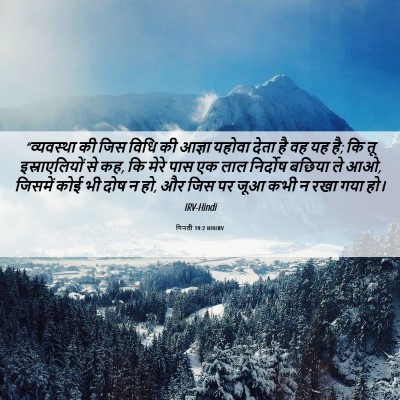 Picture 06 - गिनती 19:2 HINIRV - “व्यवस्था की जिस - Bible Verse Picture