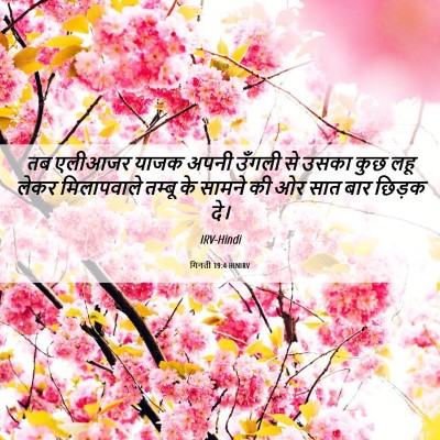 Picture 06 - गिनती 19:4 HINIRV - तब एलीआजर याजक - Bible Verse Picture