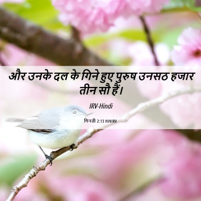 Picture 06 - गिनती 2:13 HINIRV - और उनके दल के गिने - Bible Verse Picture