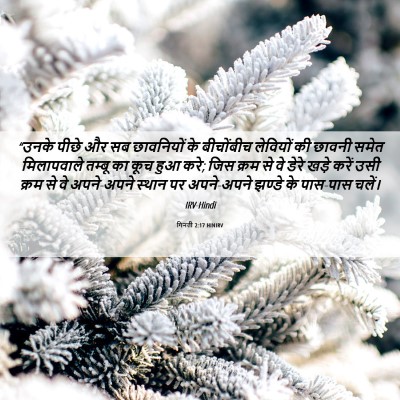 Picture 06 - गिनती 2:17 HINIRV - “उनके पीछे और सब - Bible Verse Picture
