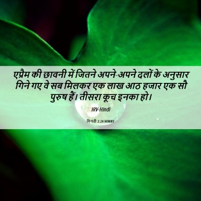Picture 06 - गिनती 2:24 HINIRV - एप्रैम की छावनी - Bible Verse Picture