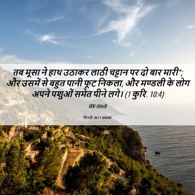 Picture 06 - गिनती 20:11 HINIRV - तब मूसा ने हाथ - Bible Verse Picture