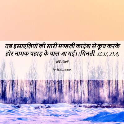 Picture 06 - गिनती 20:22 HINIRV - तब इस्राएलियों की - Bible Verse Picture