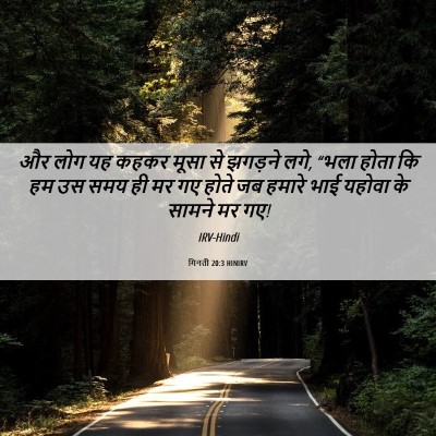 Picture 06 - गिनती 20:3 HINIRV - और लोग यह कहकर मूसा - Bible Verse Picture