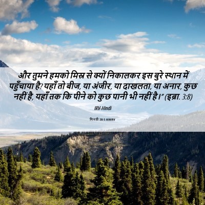 Picture 06 - गिनती 20:5 HINIRV - और तुमने हमको - Bible Verse Picture