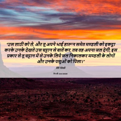 Picture 06 - गिनती 20:8 HINIRV - “उस लाठी को ले, और - Bible Verse Picture