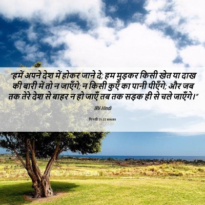 Picture 06 - गिनती 21:22 HINIRV - “हमें अपने देश में - Bible Verse Picture