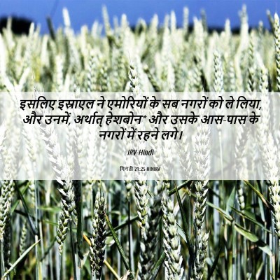 Picture 06 - गिनती 21:25 HINIRV - इसलिए इस्राएल ने - Bible Verse Picture