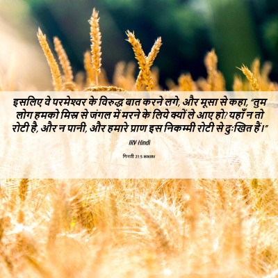 Picture 06 - गिनती 21:5 HINIRV - इसलिए वे - Bible Verse Picture