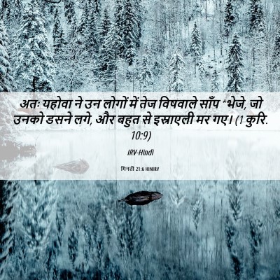 Picture 06 - गिनती 21:6 HINIRV - अतः यहोवा ने उन - Bible Verse Picture