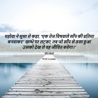 Picture 06 - गिनती 21:8 HINIRV - यहोवा ने मूसा से - Bible Verse Picture