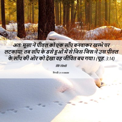 Picture 06 - गिनती 21:9 HINIRV - अतः मूसा ने पीतल को - Bible Verse Picture