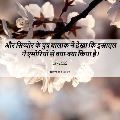 Picture 06 - गिनती 22:2 HINIRV - और सिप्पोर के - Bible Verse Picture
