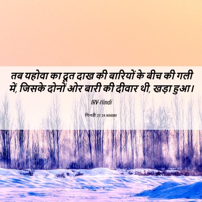 Picture 06 - गिनती 22:24 HINIRV - तब यहोवा का दूत दाख - Bible Verse Picture