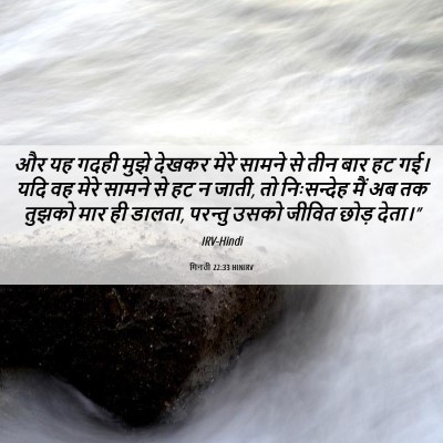 Picture 06 - गिनती 22:33 HINIRV - और यह गदही मुझे - Bible Verse Picture