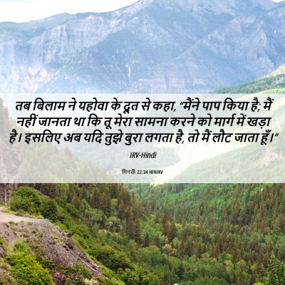 Picture 06 - गिनती 22:34 HINIRV - तब बिलाम ने यहोवा - Bible Verse Picture
