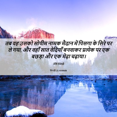 Picture 06 - गिनती 23:14 HINIRV - तब वह उसको सोपीम - Bible Verse Picture