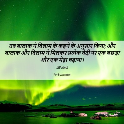 Picture 06 - गिनती 23:2 HINIRV - तब बालाक ने बिलाम - Bible Verse Picture