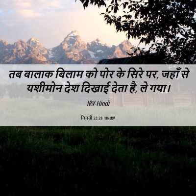 Picture 06 - गिनती 23:28 HINIRV - तब बालाक बिलाम को - Bible Verse Picture