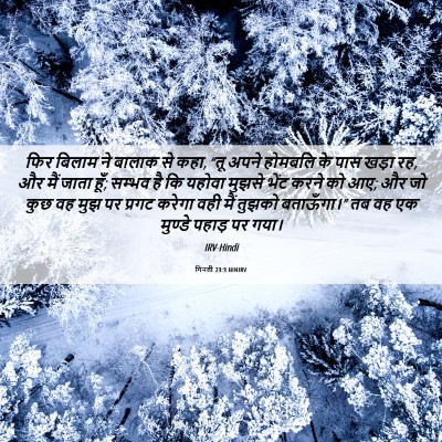 Picture 06 - गिनती 23:3 HINIRV - फिर बिलाम ने बालाक - Bible Verse Picture