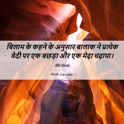 Picture 06 - गिनती 23:30 HINIRV - बिलाम के कहने के - Bible Verse Picture